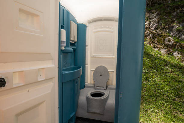 Best Affordable portable toilet rental  in Swartz Creek, MI