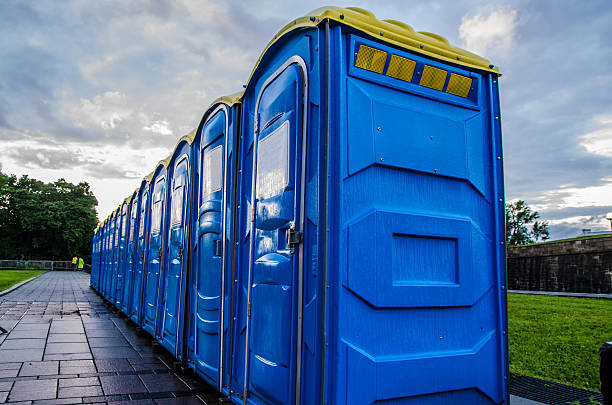 Best Affordable portable toilet rental  in Swartz Creek, MI